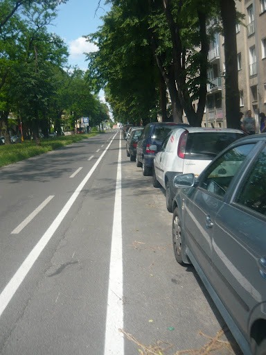 zvľava: jazdný pruh, bezpečný odstup, cyklistický pruh, bezpečný odstup (dverová zóna), parkovací pruh